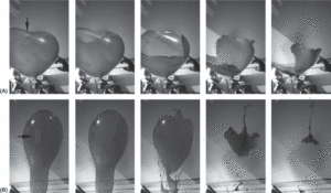 Comparison of heart‐shaped balloon burst (A) and spherical balloon burst (B).