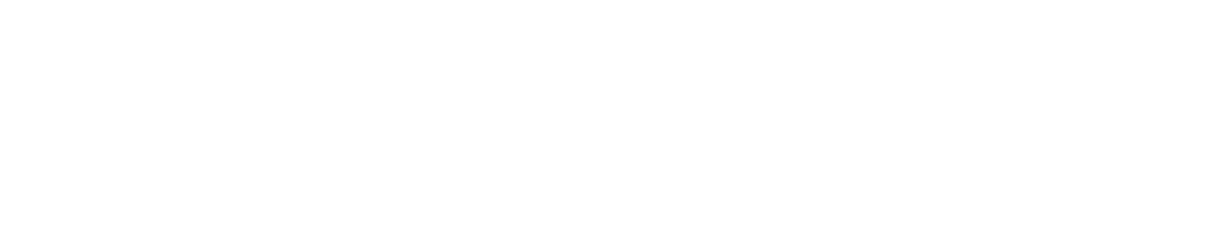 Bekenstein Lab Logo